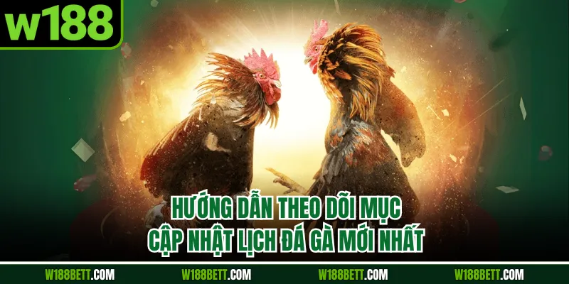 Hướng dẫn theo dõi mục cập nhật lịch đá gà mới nhất